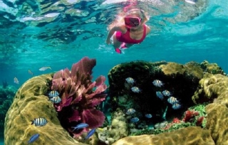 snorkel en arrecifes